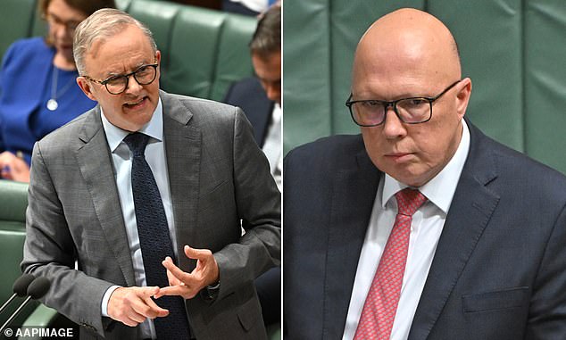 Prime Minister Anthony Albanese's ALP remains ahead of Peter Dutton's coalition, two polls show