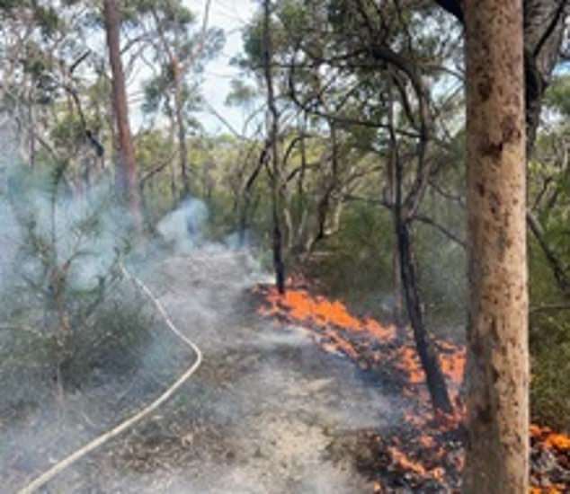 Two hazard mitigation burns are underway in Kur-ring-gai Chase National Park and Katoomba.