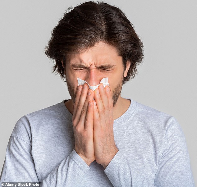 Chronic sinusitis, or a permanently stuffy nose, occurs when the nasal passages and the lining of the sinuses become inflamed and blocked