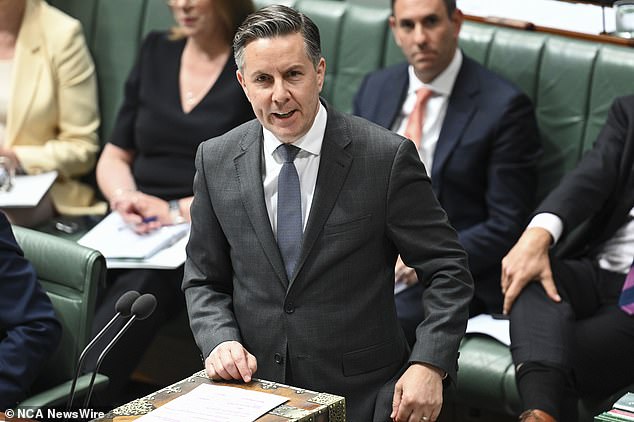 Health Minister Mark Butler (photo) approved the premium increases in March