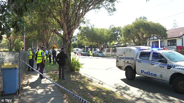 A Bankstown Police Area Command Critical Incident Investigation Team will analyze the crash and its findings will be subject to an independent review