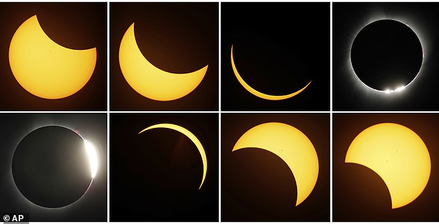 Scientists studied animal behavior during the last solar eclipse in 2017 to better understand why they exhibit unusual behavior when the moon blocks the sun