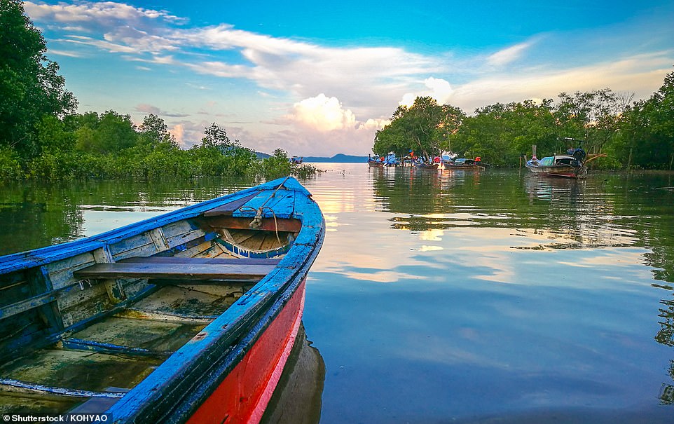 Fiona says you can visit the island's mangroves to spot native hornbills, or take a jungle walk