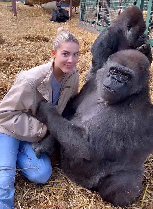 Freya Aspinall (pictured) with one of the gorillas in her father's game park