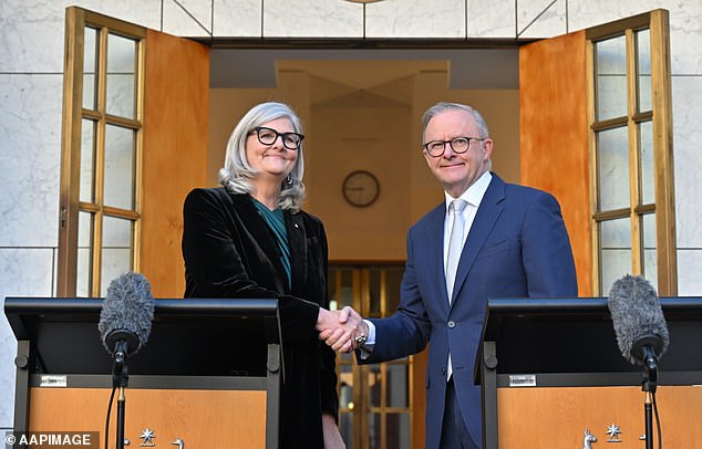Sam Mostyn wiped out all of her social media presence before Prime Minister Anthony Albanese announced her as David Hurley's replacement on Wednesday morning
