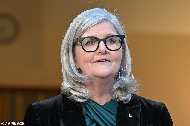 Ms Mostyn has long been outspoken in her ambitions to see positive change in Canberra, having worked as a policy adviser to two ministers and the Prime Minister during the Keating era.