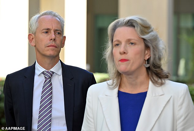 Immigration Minister Andrew Giles and Home Secretary Clare O'Neil have both faced widespread criticism since trying to push the bill through