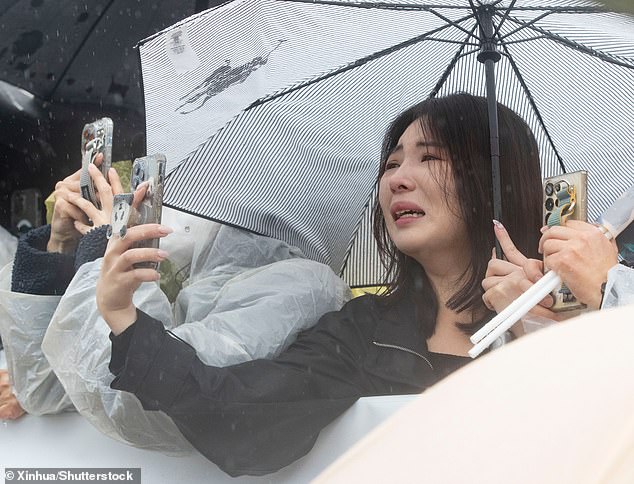 A woman was seen leaning over a barrier and sobbing as she took a photo of the panda convoy