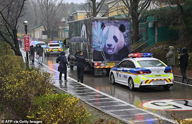 Two police vehicles escorted the truck through the busy streets on its way to the airport