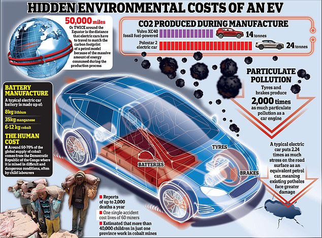 Image revealing some of the hidden environmental costs of electric cars