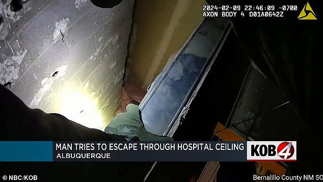 “Steven climbed the ceiling of the first floor and moved from north to south and back and forth, looking for a way out of the hospital,” a deputy reported