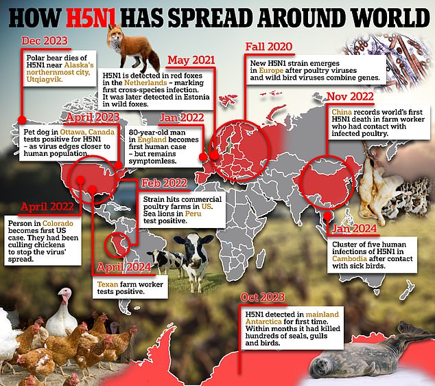 1712328356 760 Is YOUR state at risk of bird flu spillover Map