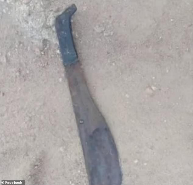 Officers found the decomposing hands and stuffed them in bags as evidence, and a machete nearby