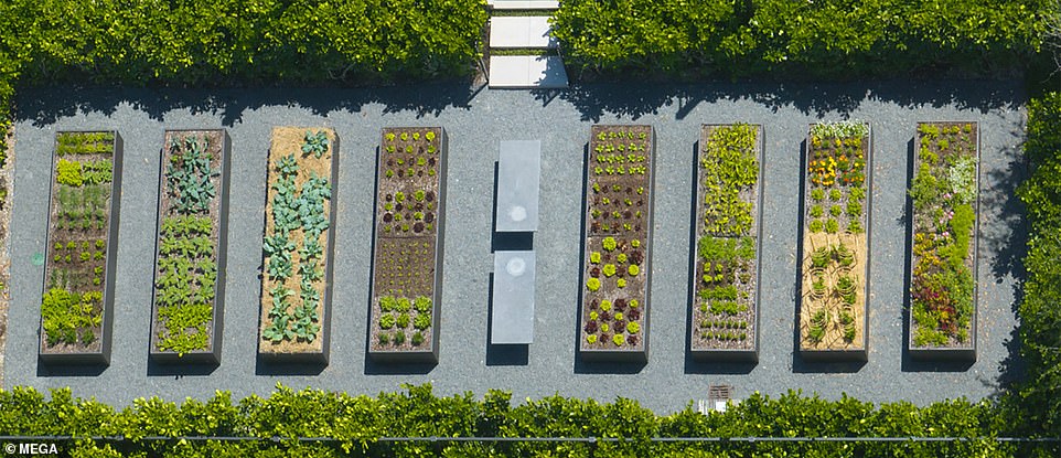 Brady's property includes eight congruent rectangular plots with an array of vegetables, green plants and flowers