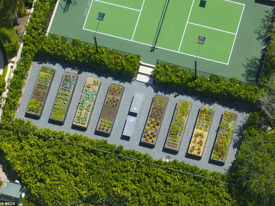 Another shot of 46-year-old Tom Brady's budding vegetable garden shows the Patriots legend's pickleball court (above)