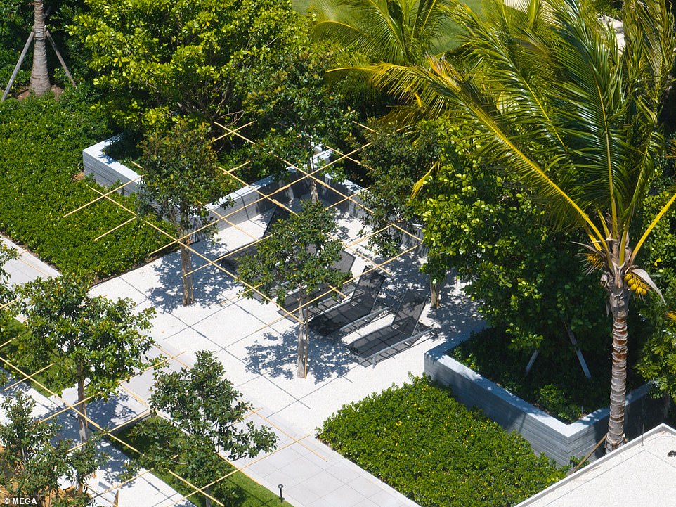 A row of patio chairs is pictured in Brady's backyard, shaded by a nearby palm tree on Miami's Indian Creek Island