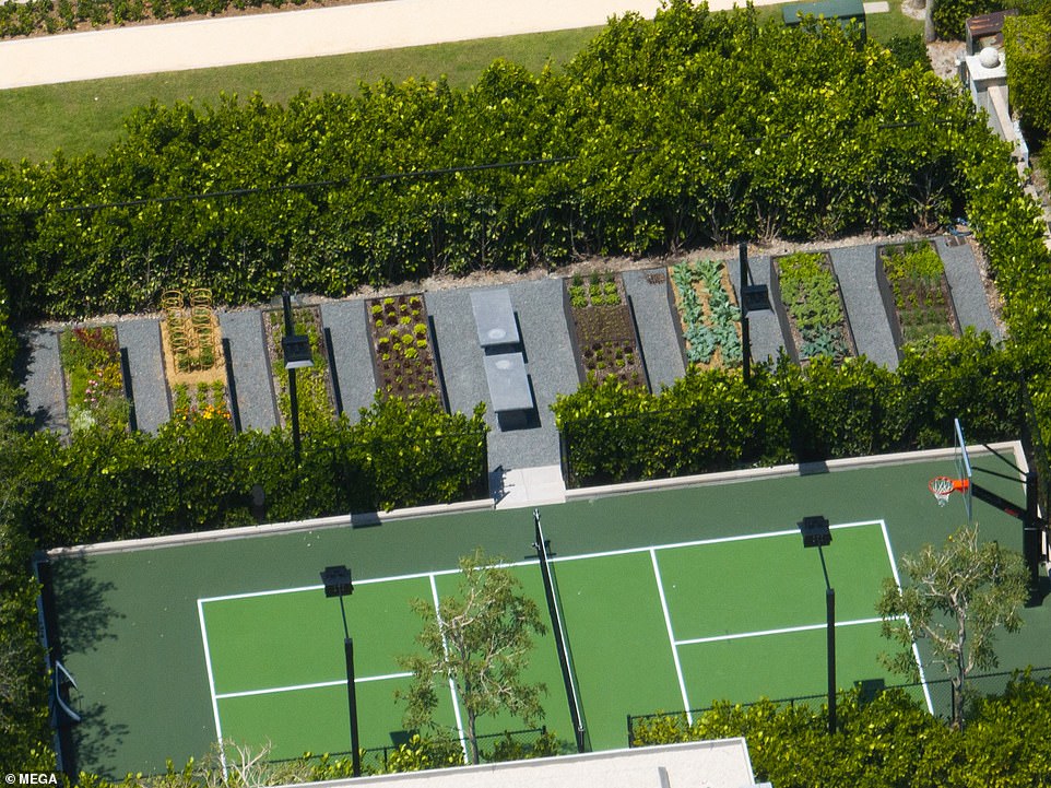 In addition to what appears to be tomato vines, several types of flowers, lettuce and other greenery are visible