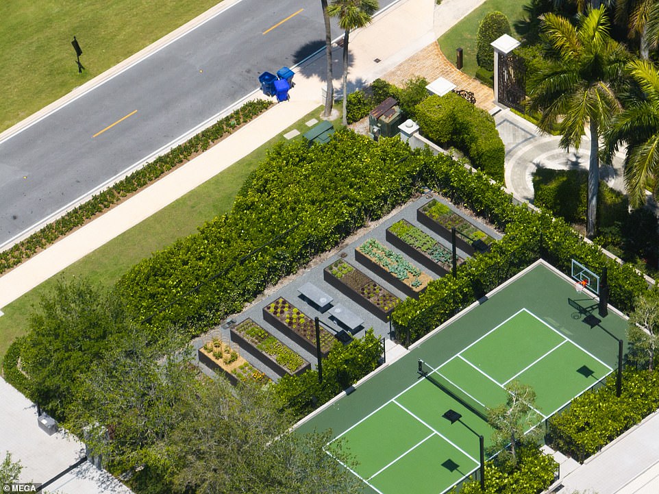 Brady's new vegetable garden is at the far end of the property, away from the waterfront, where he has installed a new boat dock