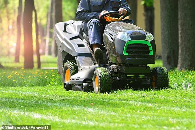 “If you have children, never approach someone who is mowing the lawn,” Dr. Yancey said, noting that flying grass can cause eye damage.