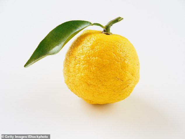 Yuzu is a popular citrus fruit, which the researchers emphasized in the Japanese diet