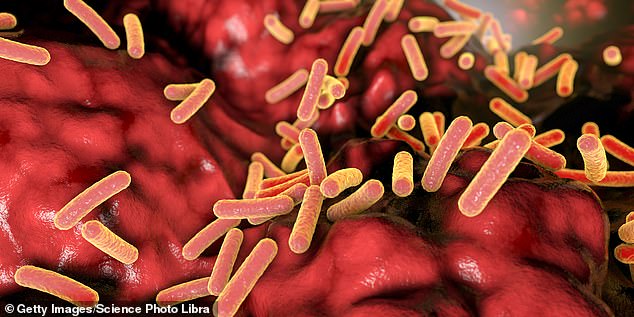 Research into the gut microbiome has been incredibly popular in recent years