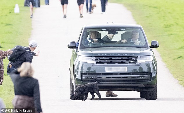 The man initially does not realize that his beloved pet is standing in front of the royal family's car