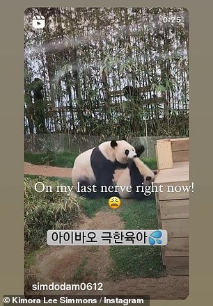 Kimora, 48, reposted a now-deleted video of a mother panda protecting her baby cub