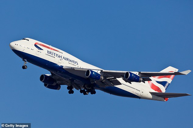 British Airways' rules state that their employees are responsible for the conduct of anyone traveling under their name (File image)