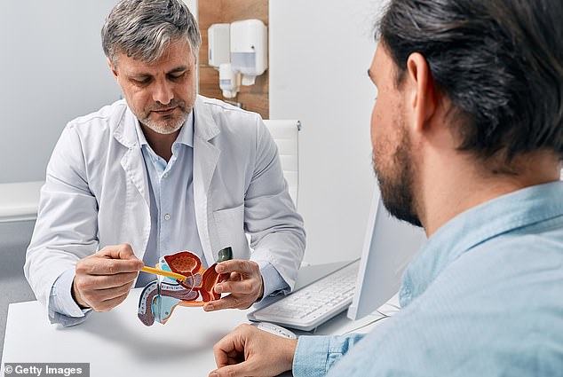 Prostate cancer is the most common cancer in Britain without a screening programme, despite often showing no symptoms until it has spread and become terminal (stock image)