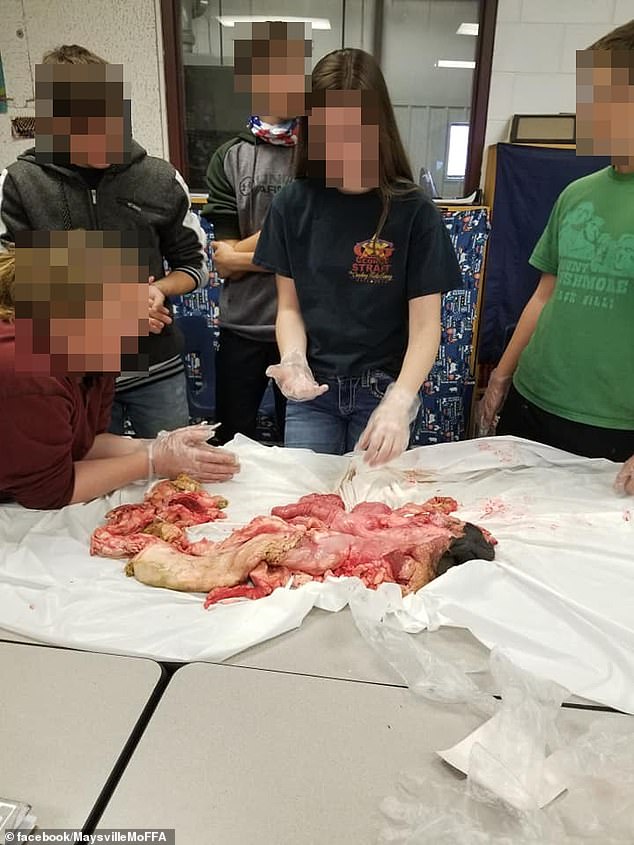 In various lesson units, students were assigned to identify animal organs, process raw meat and bring it to the table