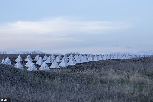 Rows of dragon's teeth, anti-tank obstacles, are seen in Donetsk region, Ukraine, April 6, 2024