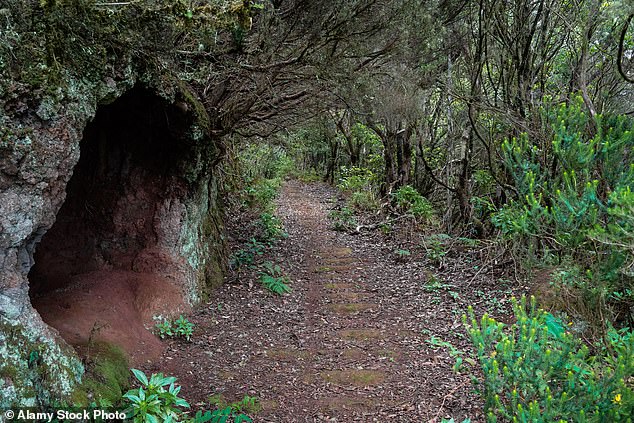 There is a cave depicted on a mountain path in Tenerife