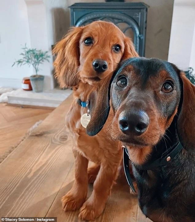 The TV personality sparked worrying concerns about her dogs Teddy and Peanut among 5.9 million followers after posting a photo to her Instagram