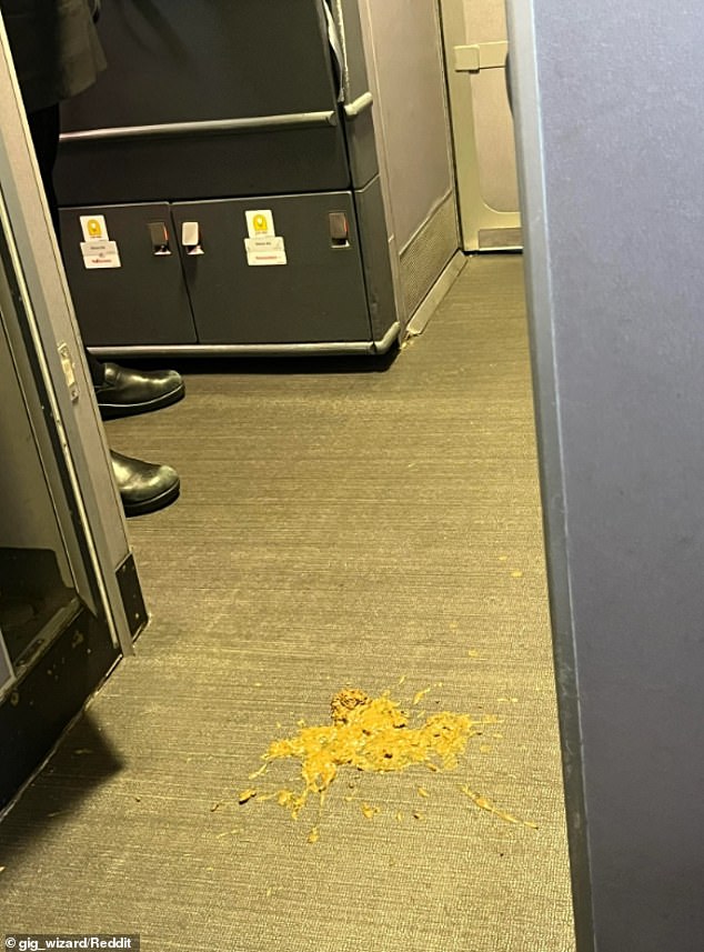 The ground crew spent more than two hours cleaning the carpet with paper towels, and noticed that the smell made them sick