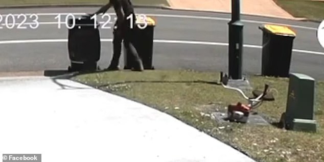 The gardener then steps on top of the waving bird and appears to kill it with a footstep before throwing the bird's remains into a bin.