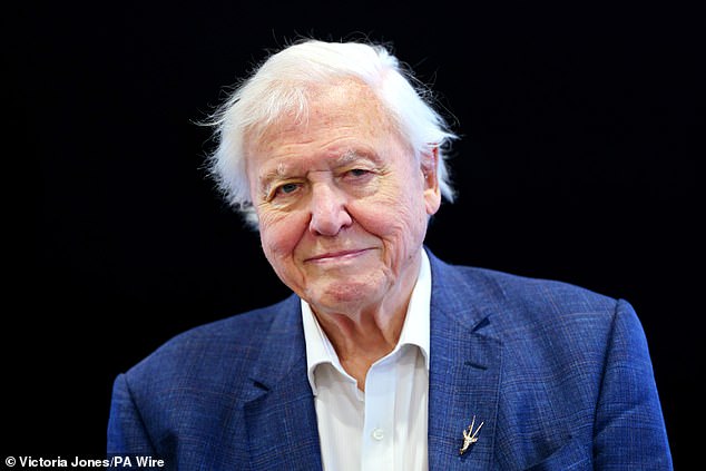 Sir David Attenborough, 97, is known for presenting incredible wildlife shows