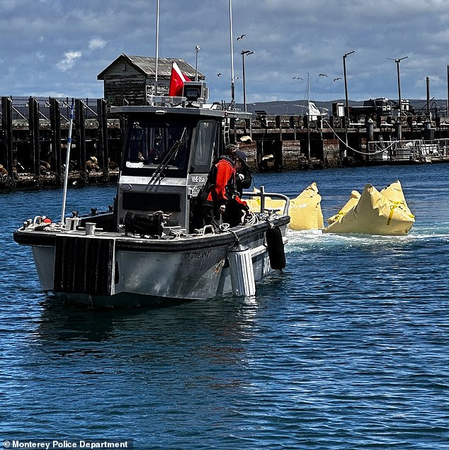 Officers spotted the four occupants of the vehicle in the ocean and suspected they had jumped in to avoid police before realizing the Chevrolet Silverado was submerged