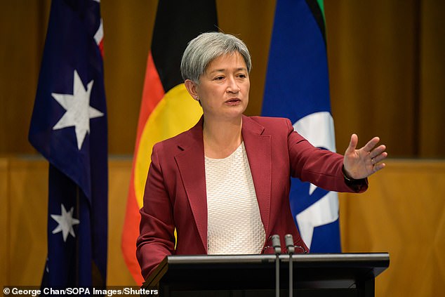 Foreign Senator Penny Wong said recognizing a Palestinian state is the only way to break the endless cycle of violence and bring peace to both Palestinians and Israelis.