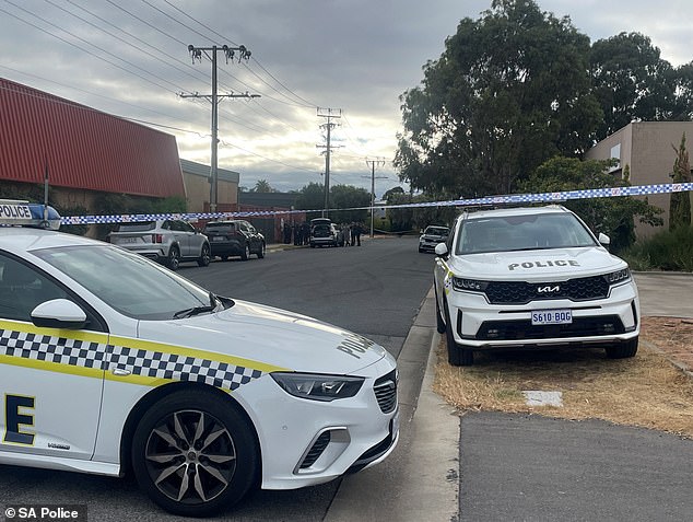 Detective Chief Inspector Des Bray believes the stabbing was a 'senseless murder over something trivial' (photo, emergency services at the crime scene)