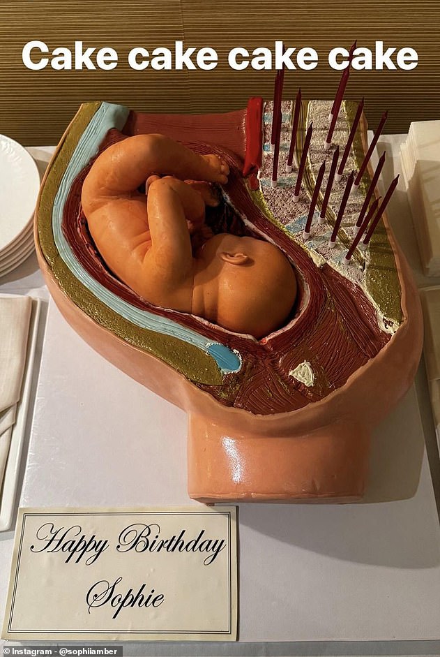 To celebrate her pregnancy and Sophie's 30th birthday in February, Damien wrapped an extraordinary cake that featured his shocking art style