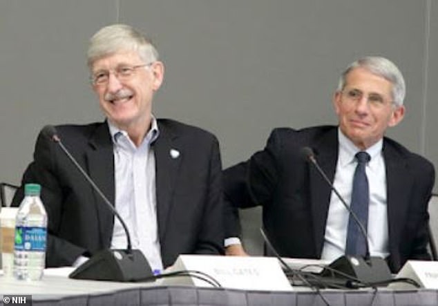 According to Paul, Francis Collins (left), head of the National Institutes of Health, and Anthony Fauci (right), head of the National Institute of Allergy and Infectious Diseases, could have been aware of the Wuhan laboratory's proposal to create new coronavirus.