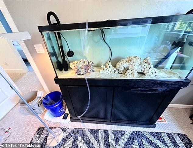 Clifford ordered a saltwater tank, a paddle boat system and food supplies for Terrence, mainly through the Facebook marketplace.  He thought it would cost about $600