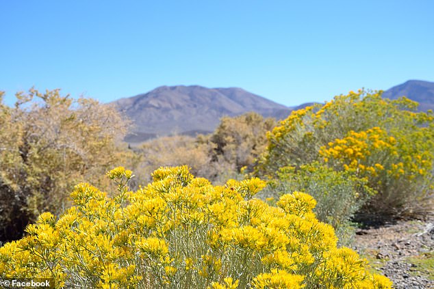 The devastating hurricane was followed in February by an atmospheric river that dumped another 1.5 inches of rain on the desert region in three days.