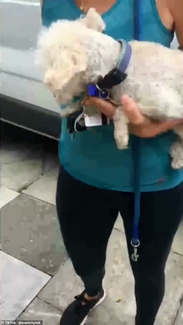 The owner was relieved to be reunited with her beloved pet named Marley and thanked the man for his efforts