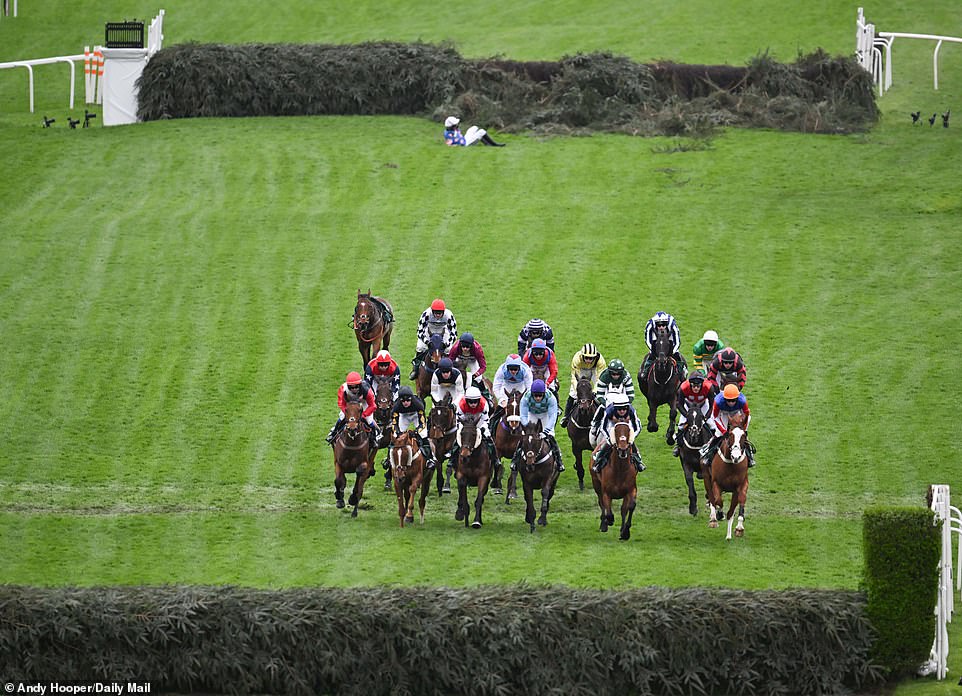 A jockey sits on the ground after falling from his horse while the rest of the field continues the race
