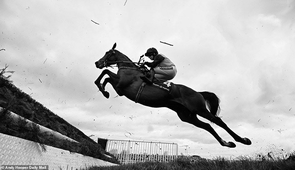 A jockey and horse jump a fence at Aintree.  There are 16 individual obstacles spread across the Grand National course