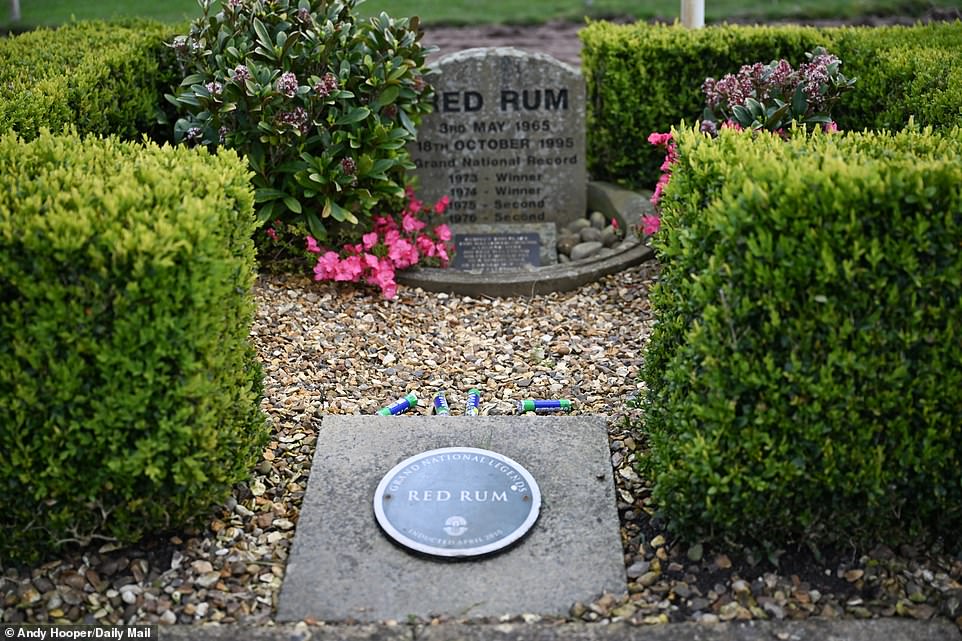 The grave of three-time Grand National winner and legendary Irish Red Rum champion lies at the winning post in Aintree