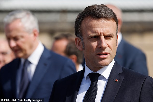 Emmanuel Macron's party (pictured) is under intense pressure to take action ahead of June's European Parliament elections