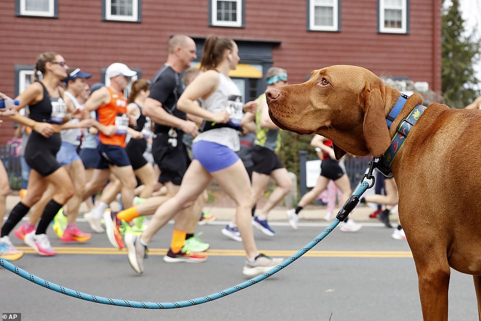 Around 10 a.m. ET on Monday, the crowd of amateur runners began the 26.2-mile journey