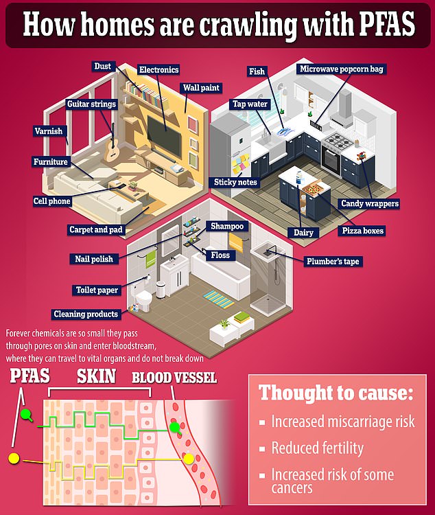 1713200438 289 Graphic reveals the forever chemicals lurking in everyday foods linked